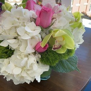 Meet your Posher, Grace